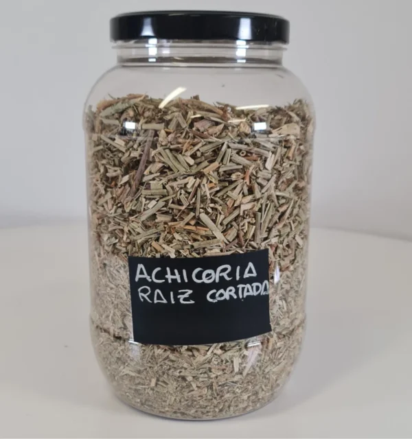 Achicoria raiz cortada bote