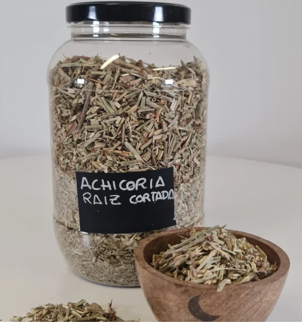 Achicoria raiz cortada bote y cuenco