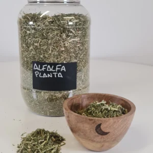 Alfalfa planta cuenco y bote