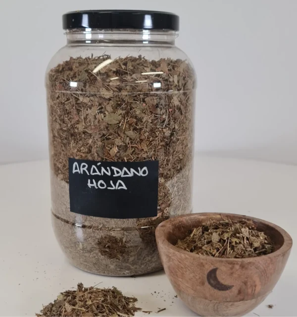 Arándano hoja bote y cuenco