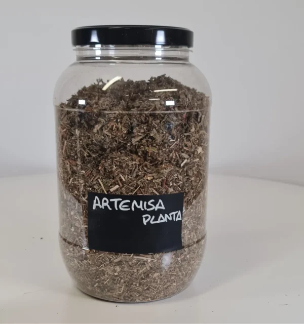 Artemisa bote