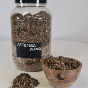 Artemisa planta cuenco y bote