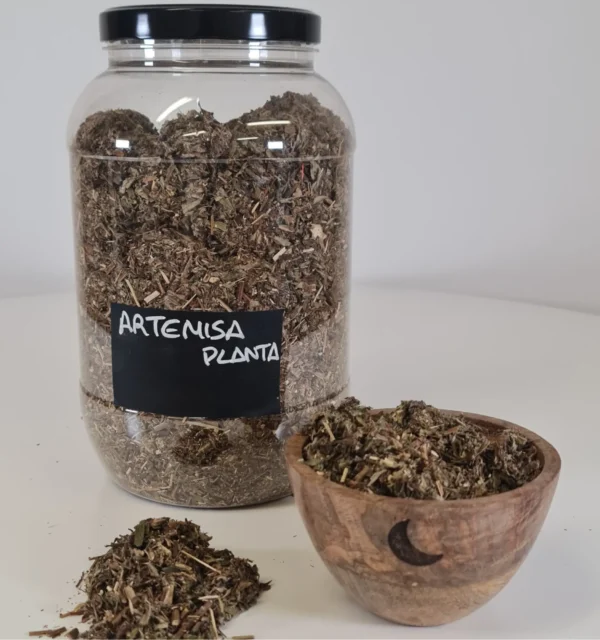 Artemisa planta cuenco y bote