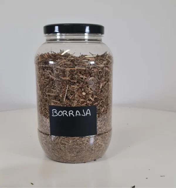Borraja bote