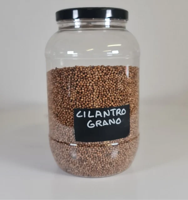 Cilantro grano bote