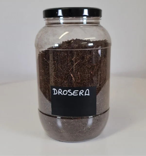 Drosera bote