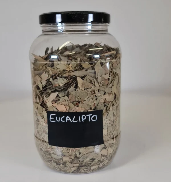 Eucalipto bote