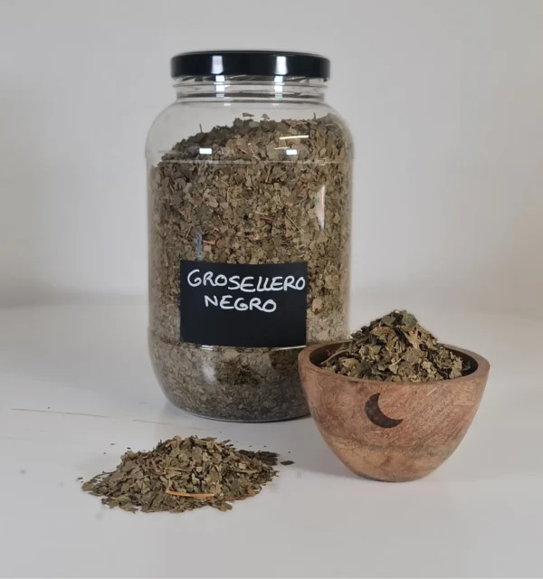 Grosellero negro bote y cuenco