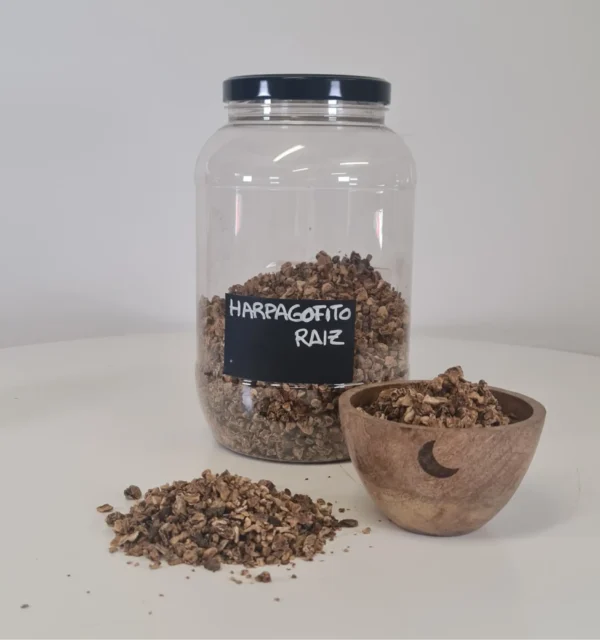 Harpagofito Raíz bote y cuenco