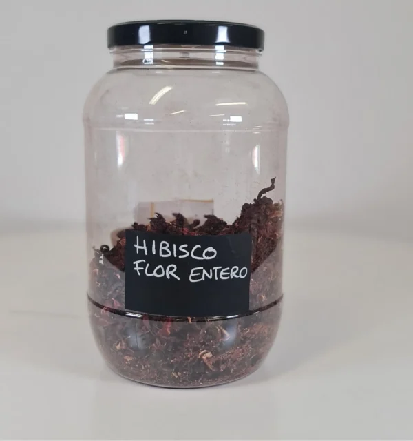 Híbisco flor entero bote
