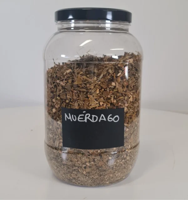 Múerdago bote