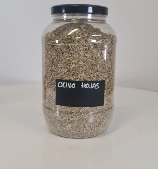 Olivo Hojas bote