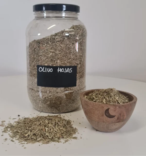 Olivo Hojas bote y cuenco