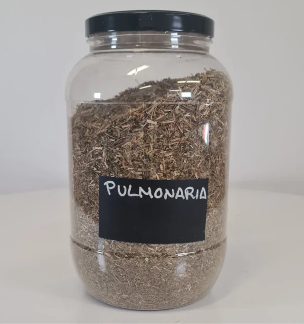 Pulmonaria bote