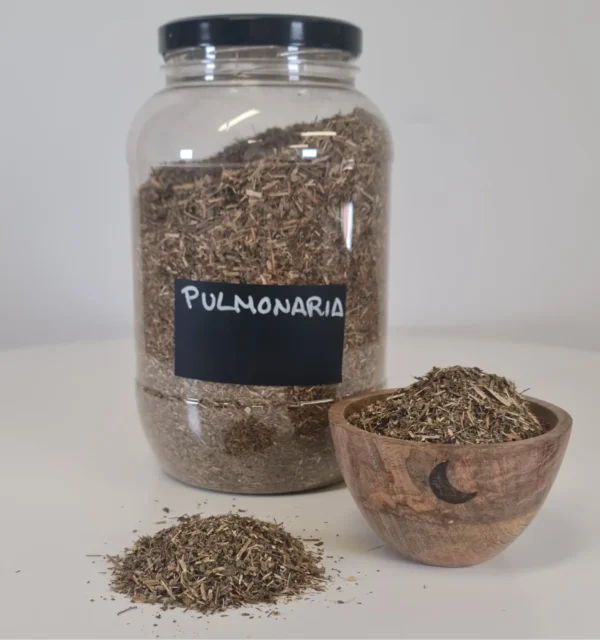 Pulmonaria bote y cuenco