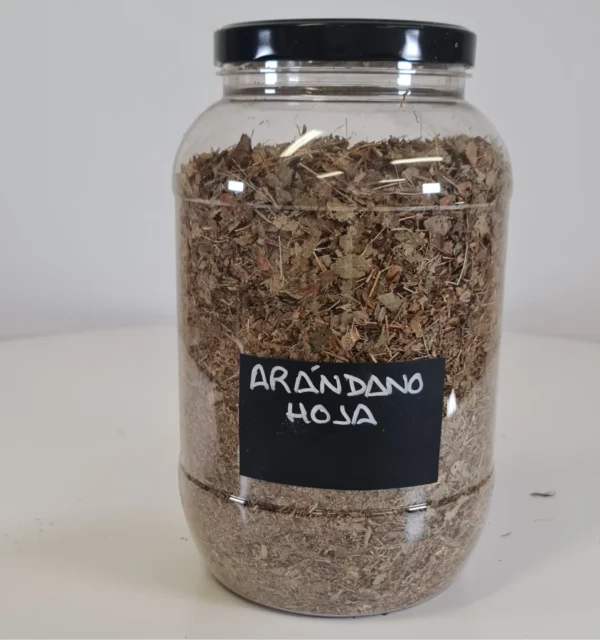 arándano hojas bote