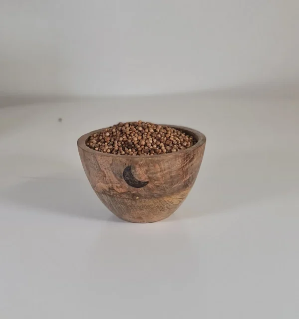 cilantro en grano