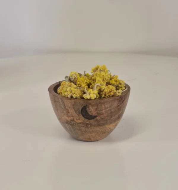 Flor de helicriso cuenco