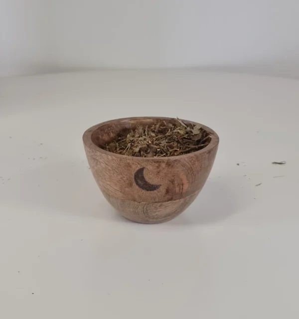 Hoja de arándano