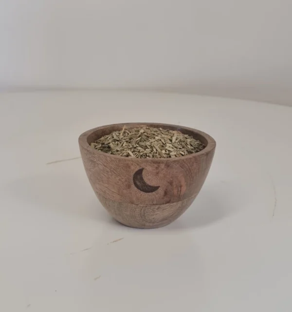 hojas de olivo