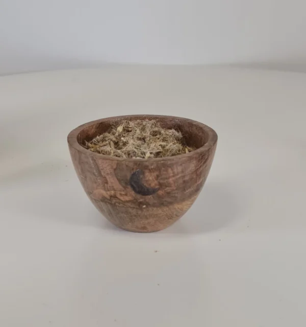 planta de cardo santo