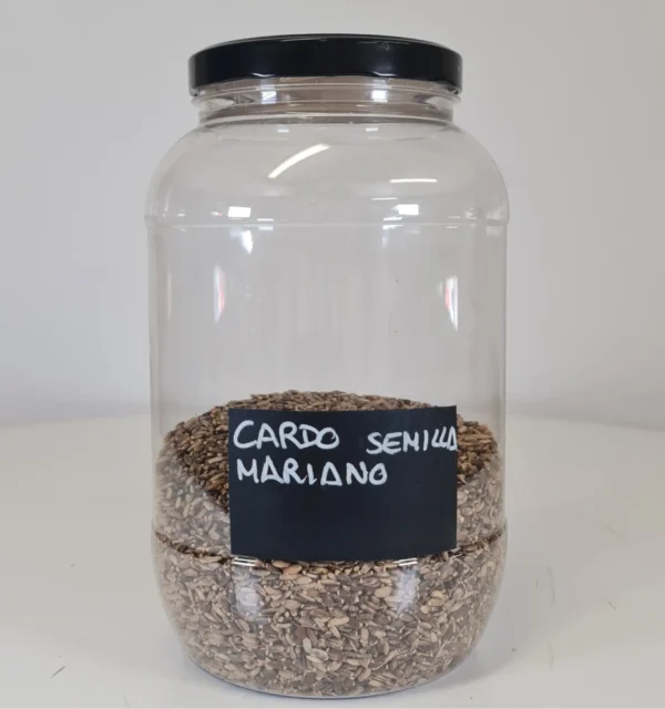 Cardo semilla mariano bote