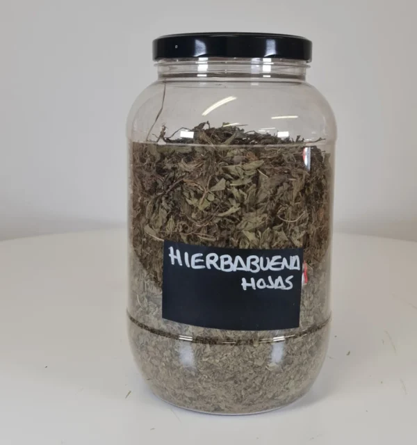 Hierbabuena hojas bote