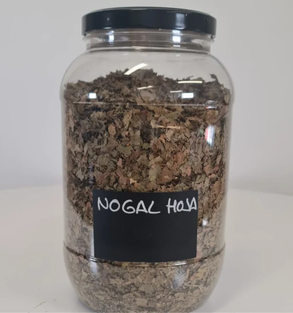 Nogal Hoja bote