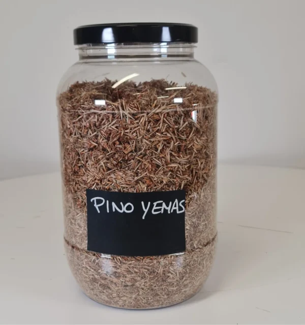 Pino Yemas bote