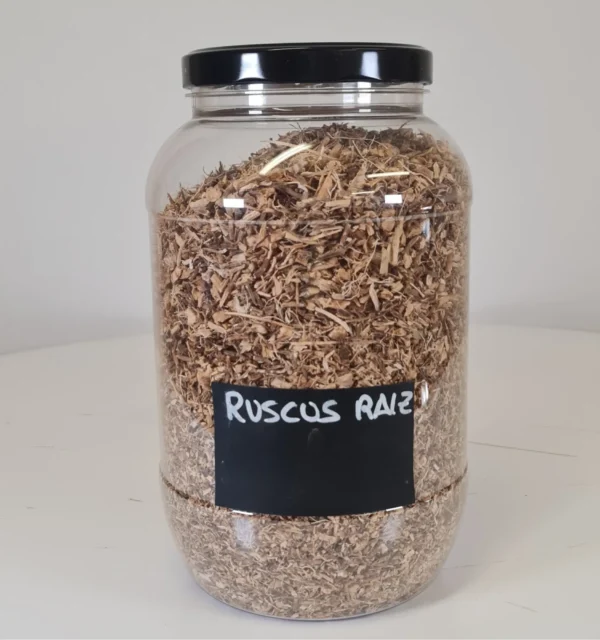 Ruscus raíz bote