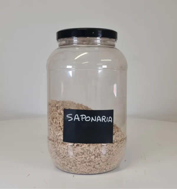 Saponaria bote