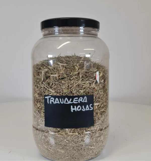 Travalera Hojas bote