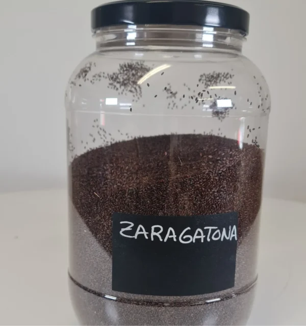 Zaragatona bote