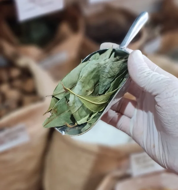 hoja de laurel