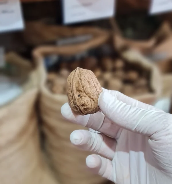 nueces