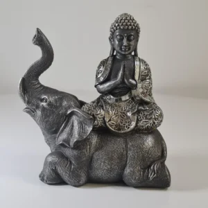 Buda elefante