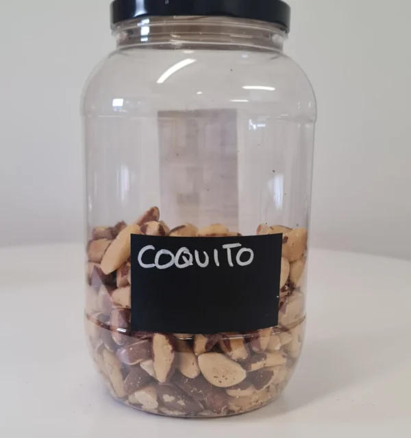Coquito bote