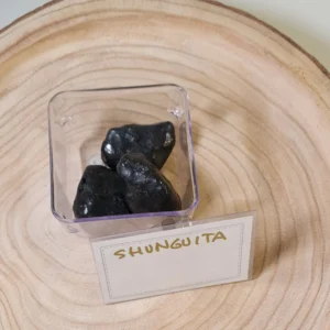 Shunguita