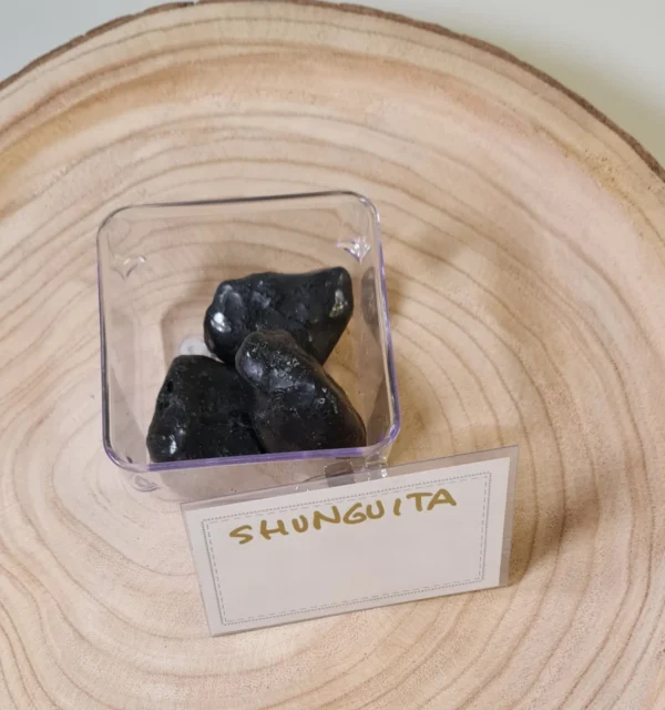 Shunguita
