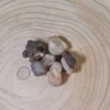 Calcedonia