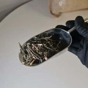 Té verde ginseng royale