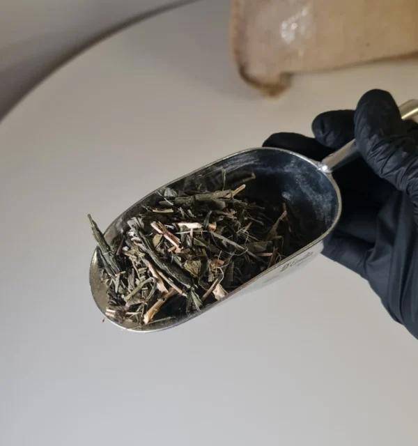 Té verde ginseng royale