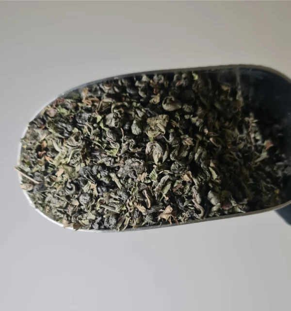 Té verde menta moruno