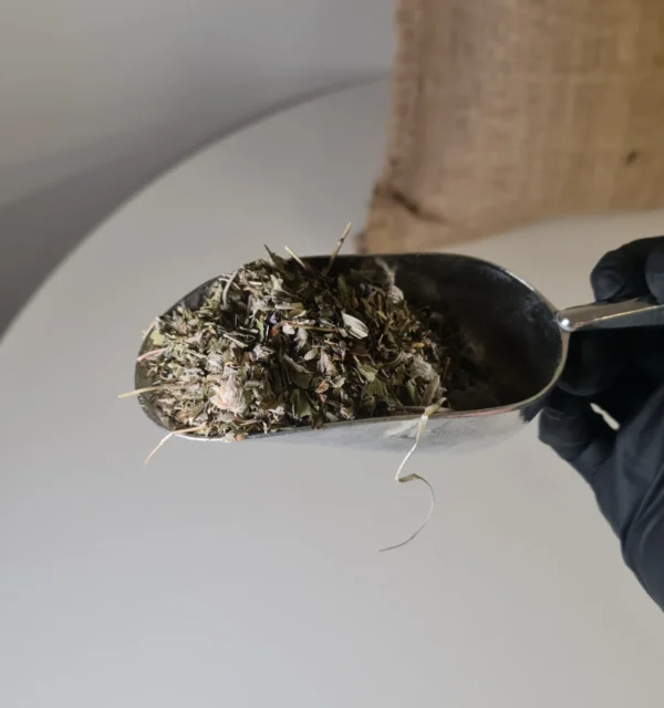 preparado circulación