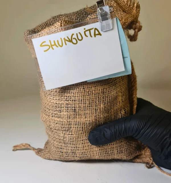 Shunguita CHIPS