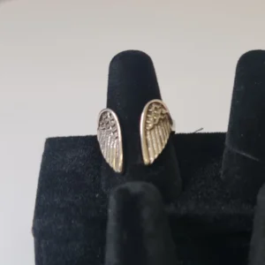 Anillo Alas