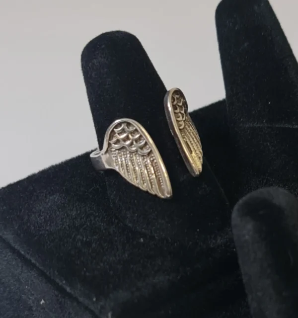 Anillo Alas