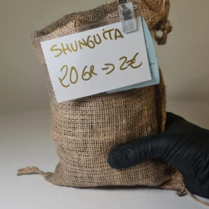 Chips de shunguita