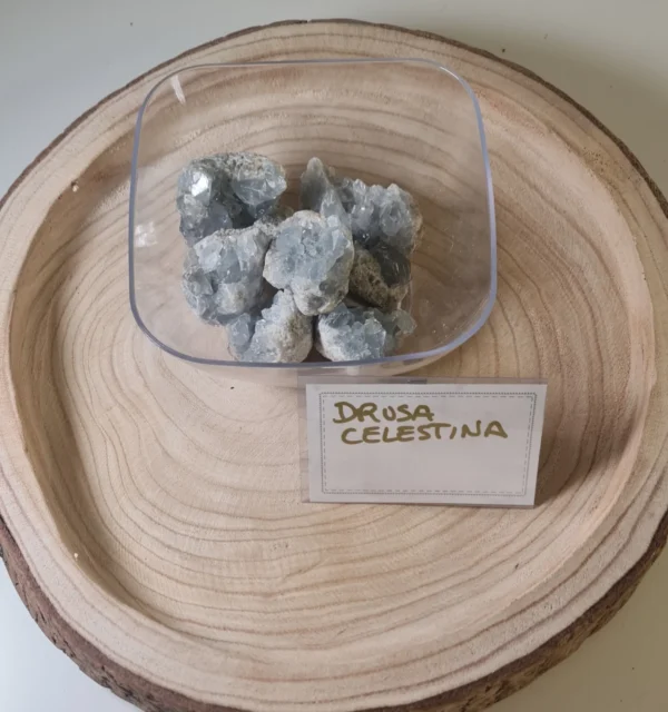 Drusa Celestina
