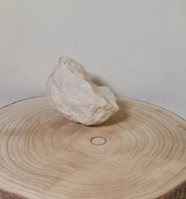 Geoda Gigante